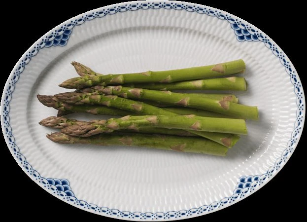 Royal Copenhagen Prinsesse Oval Tallerken 28 Cm 2 Royal Copenhagen Prinsesse Oval Tallerken 28 Cm - Billede 2